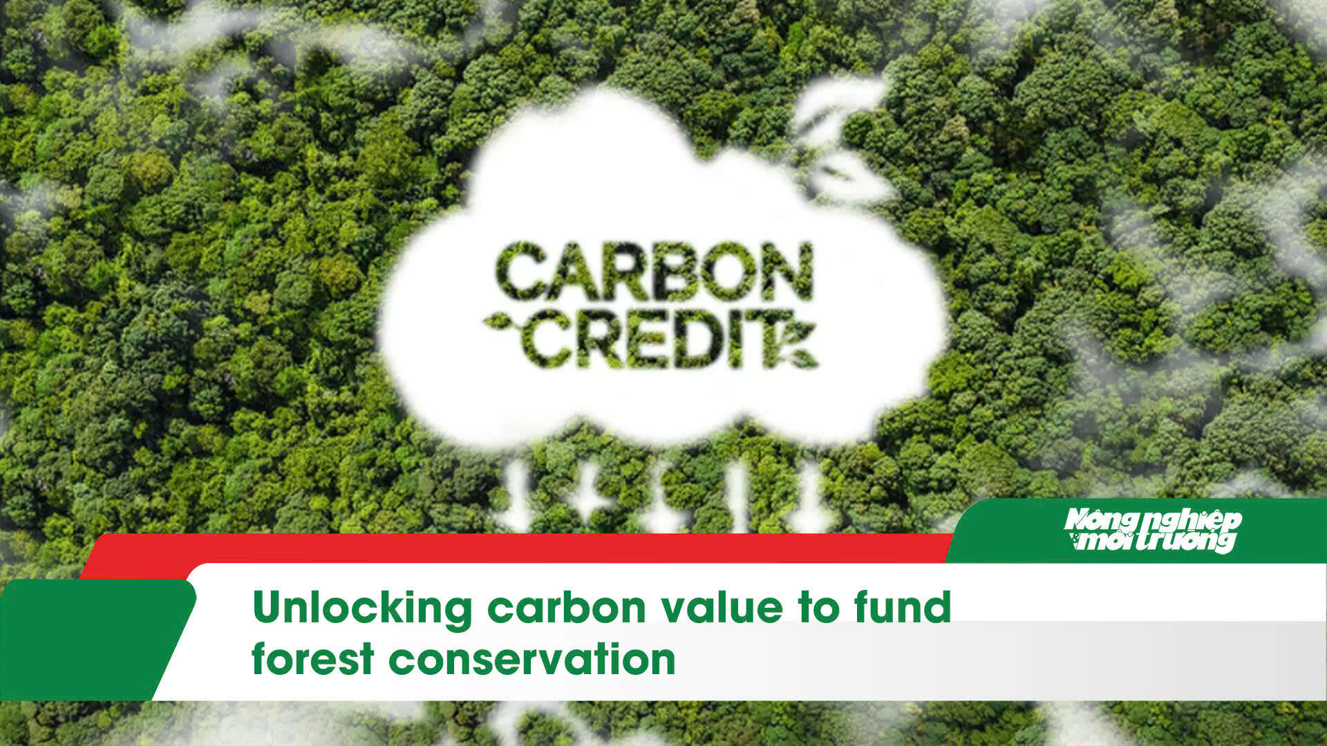 Unlocking carbon value to fund forest conservation
